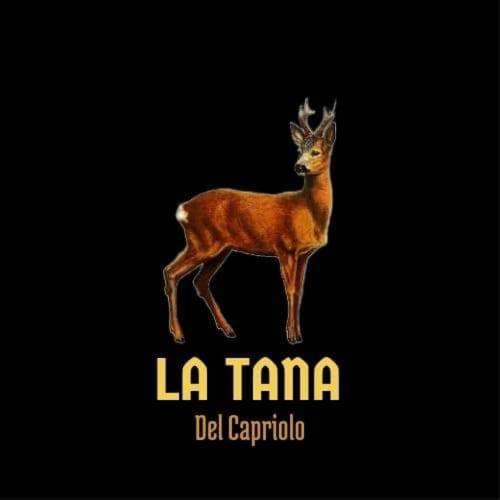 La Tana Del Capriolo Leilighet Prati di Tivo Eksteriør bilde