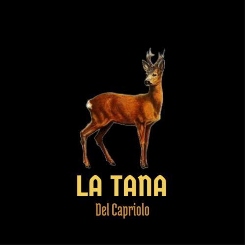 La Tana Del Capriolo Leilighet Prati di Tivo Eksteriør bilde